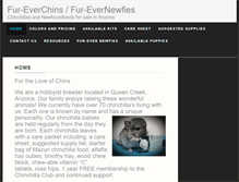 Tablet Screenshot of fur-everchins.com